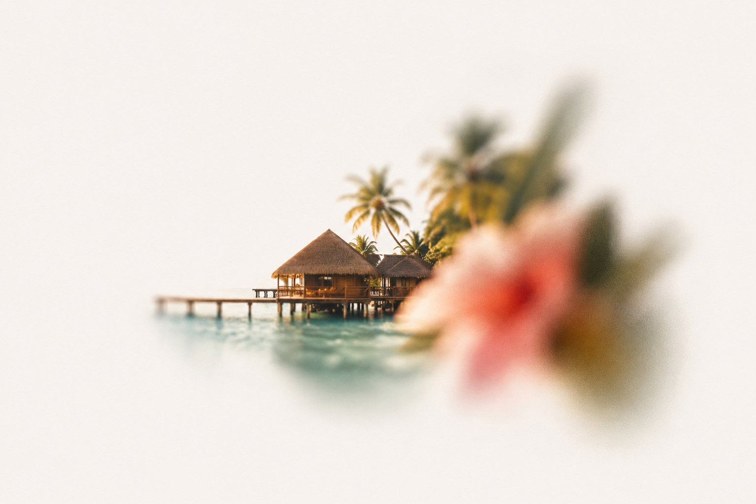Hospitality & Tourism